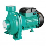 外交部回应：选举是日本的内政