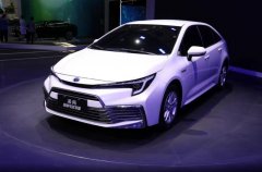 20 万级新能源 SUV 配置高性价比好